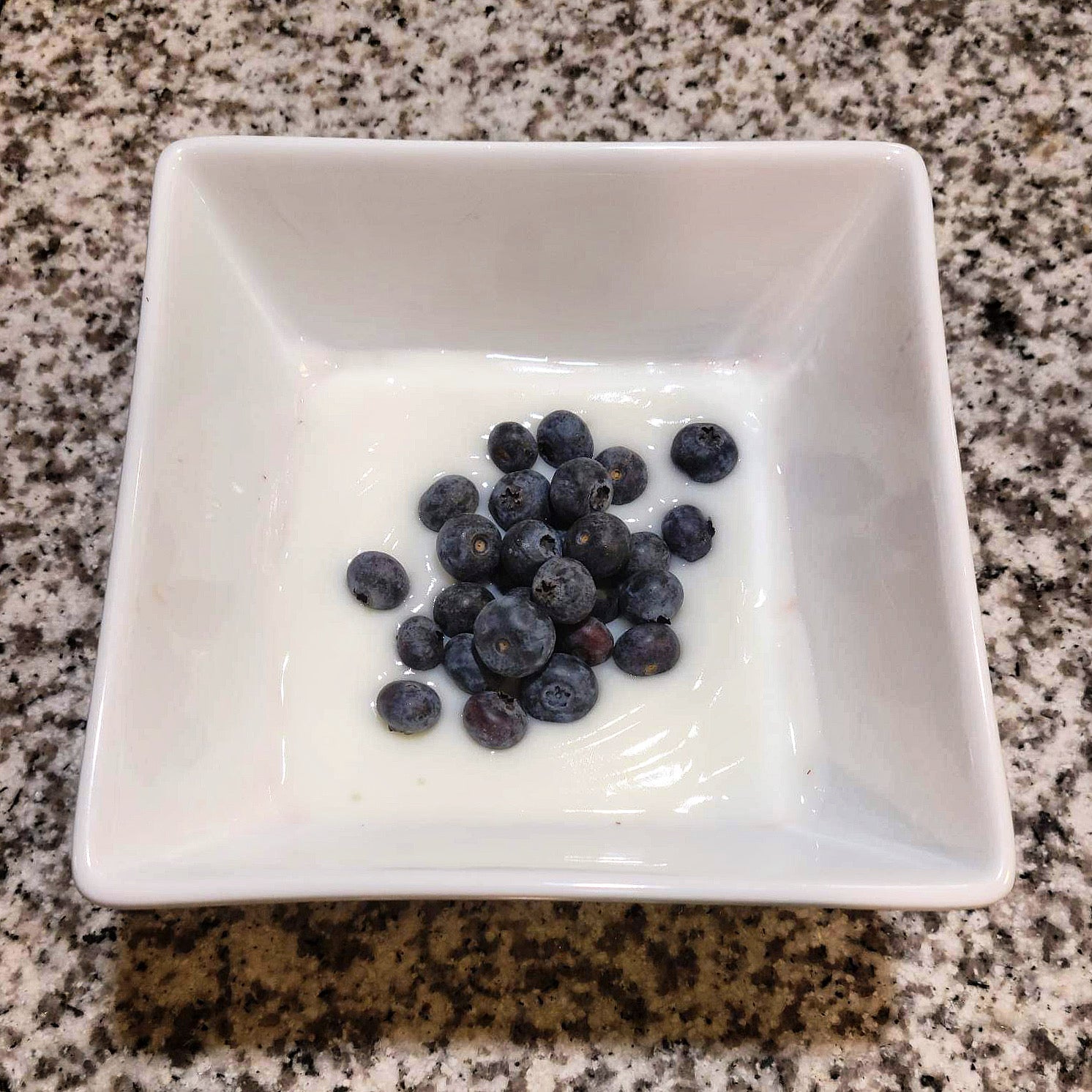 greek yogurt topped with blueberries in a white bowl